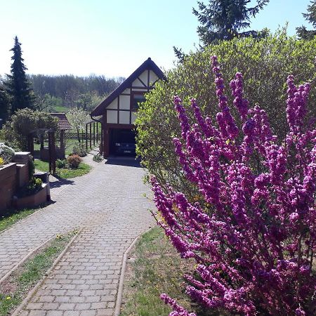 Ferienwohnung Zur Saaleaue Wettin Kültér fotó